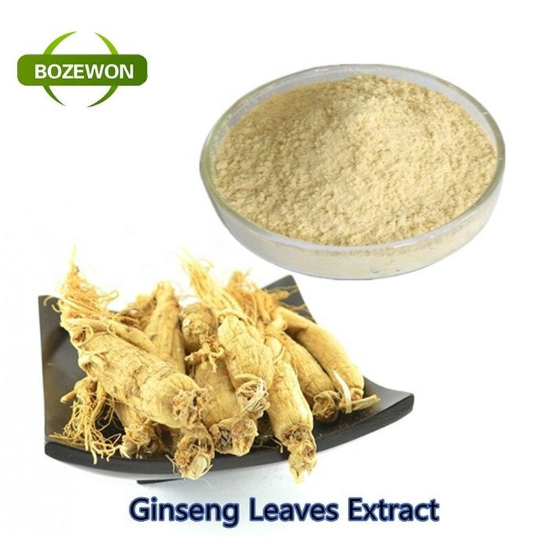 Ginseng Extract Powder Manufacturer - American Korean Red Root 100% Natural in Drum