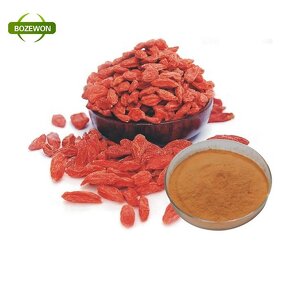 Organic Goji Berries Manufacturer - Sweet Dried AD Drying Vacuum Pack Free Samples