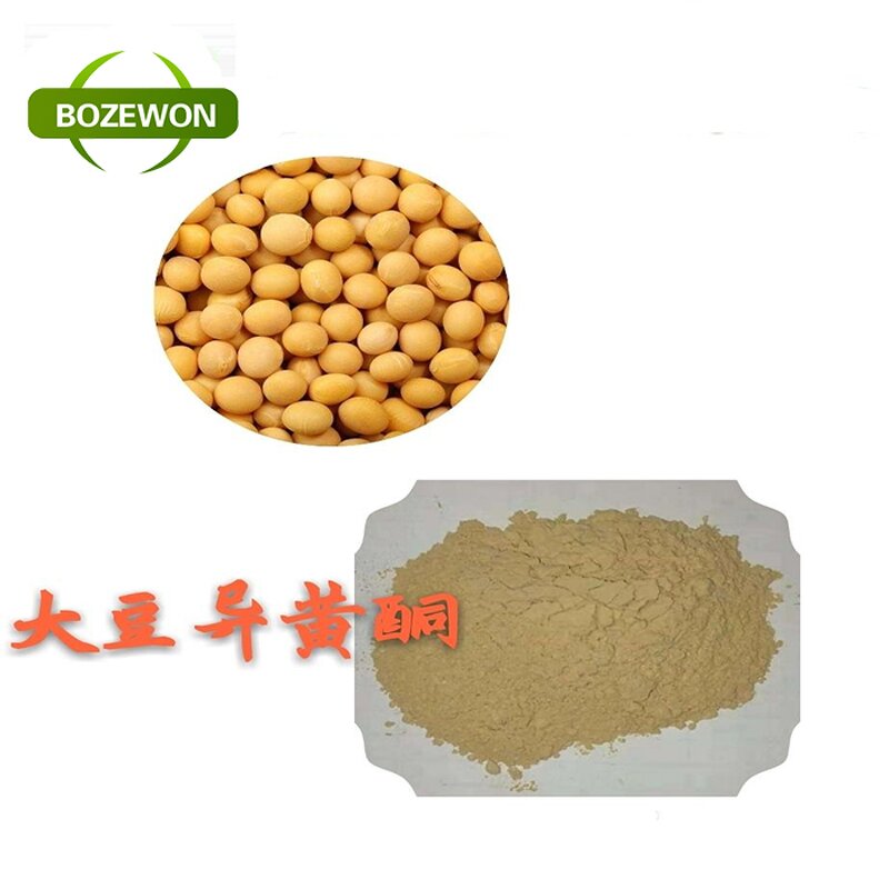 Soybean Isoflavone Extract Powder Manufacturer - Food Grade Water Soluble 20%-60% Drum