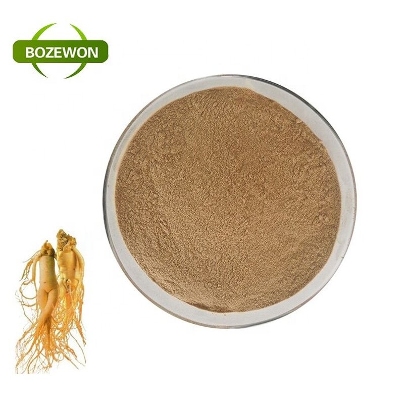 Ginseng Extract Powder Manufacturer - American Korean Red Root 100% Natural in Drum