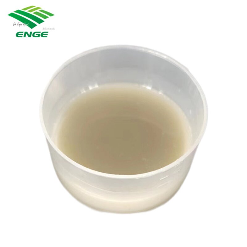 Trifloxysulfuron Haloxyfop Herbicide - 10g/L+100g/L OD Cotton Field