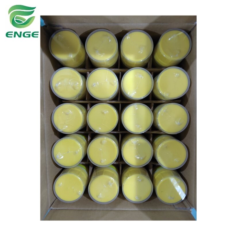 Fluopyram Trifloxystrobin - 21.5%+21.5%SC Vegetable Mixed Fungicide