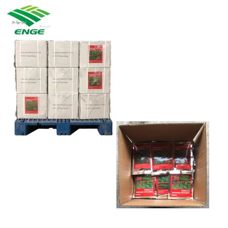 Rimsulfuron Herbicide - 25%WDG CAS 122931-48-0 Corn Fields Factory Price