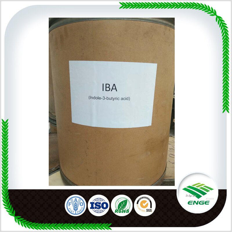 IBA Rooting Powder - 98% 3-Indolebutyric Acid Agricultural PGR
