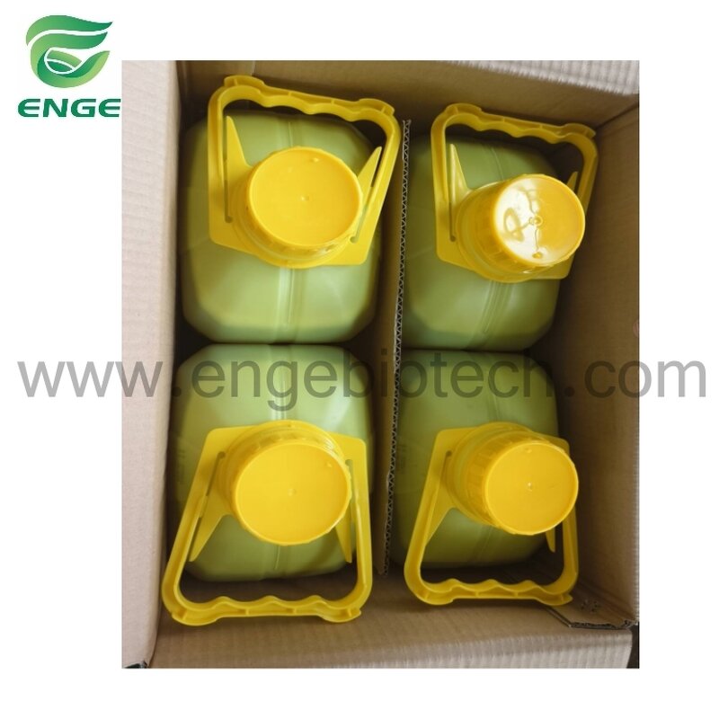 Chlorothalonil Fungicide - 72%SC 75%WP 720g/LSC Protective Factory Quality