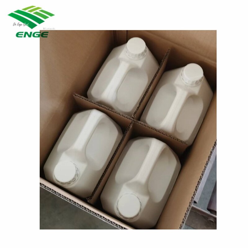 Chlorothalonil Fungicide - 72%SC 75%WP 720g/LSC Protective Factory Quality