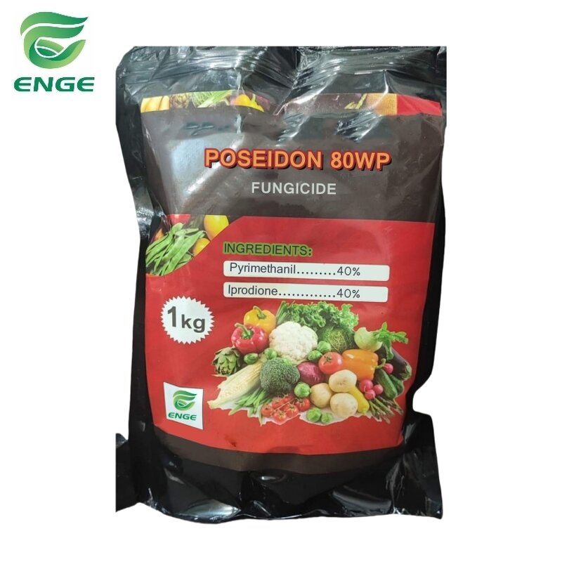 Pyrimethanil Iprodione Fungicide - 40%+40%WP Agricultural Protective