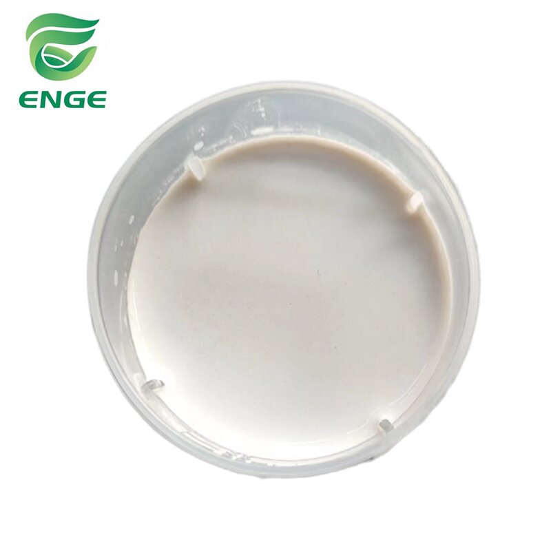 Chlorothalonil Fungicide - 72%SC 75%WP 720g/LSC Protective Factory Quality