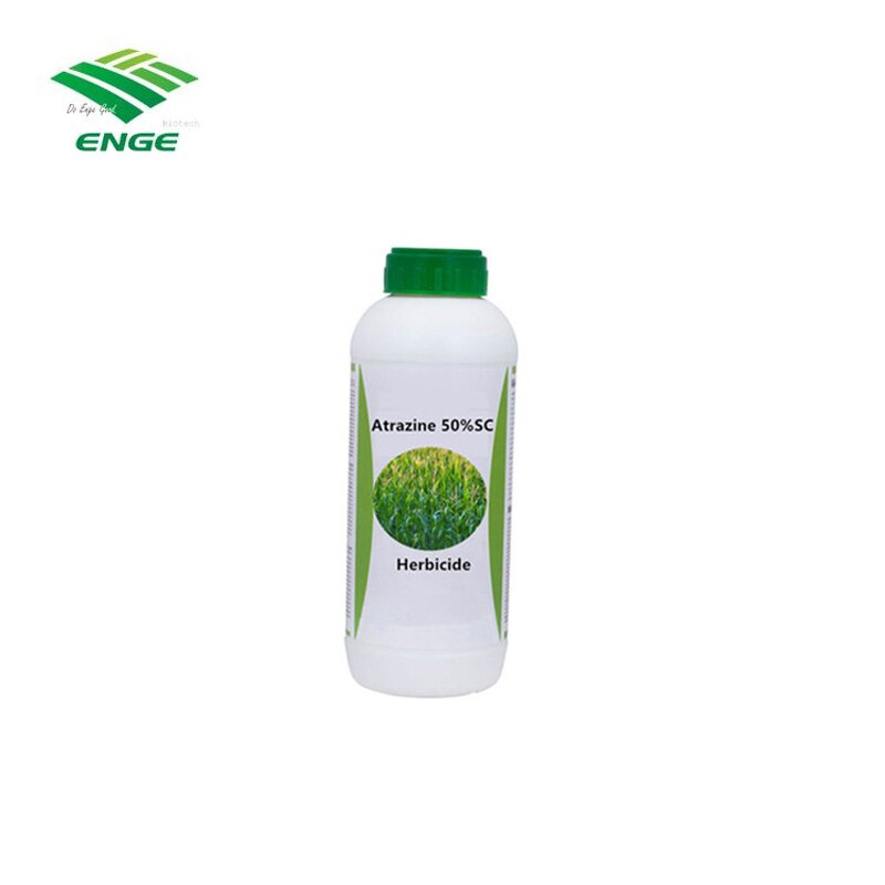 Atrazine Herbicide - 50%SC 500g/L SC Manufacturer Weed Control