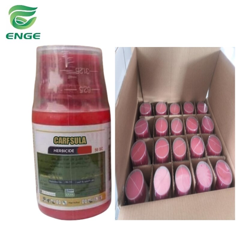 Trifloxysulfuron Haloxyfop Herbicide - 10g/L+100g/L OD Cotton Field