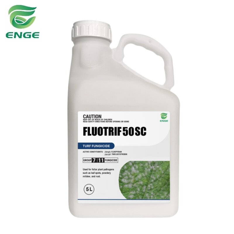 Fluopyram Trifloxystrobin - 21.5%+21.5%SC Vegetable Mixed Fungicide