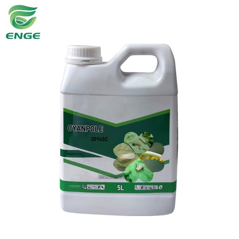 Chlorothalonil Fungicide - 72%SC 75%WP 720g/LSC Protective Factory Quality