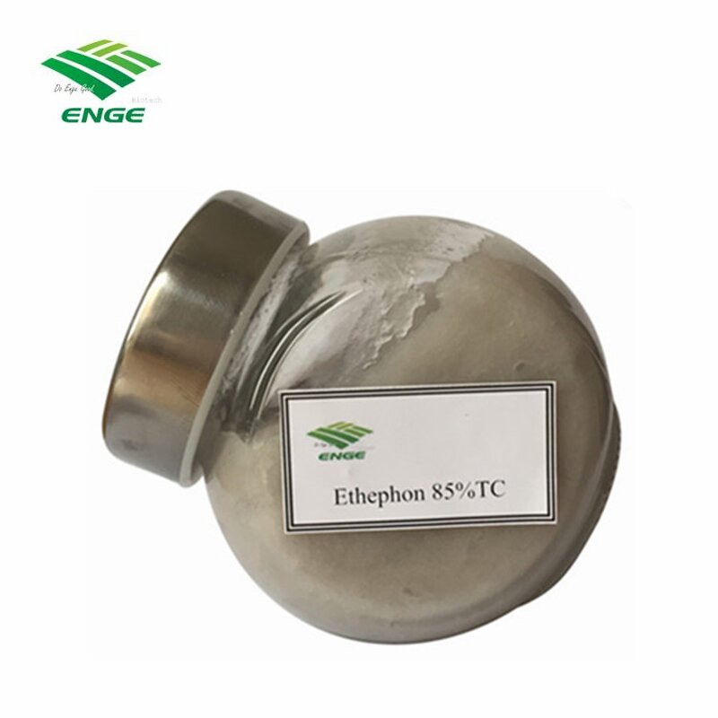 Ethephon PGR - 90%TC 85%TC 480g/LSL 40%EC 5%GEL Plant Regulator