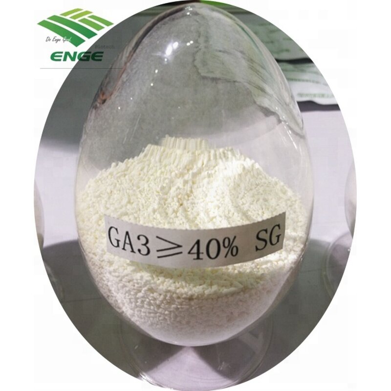 Gibberellic Acid GA3 - 5% 10% 20%Tablet 40%SP 90%TC China Factory