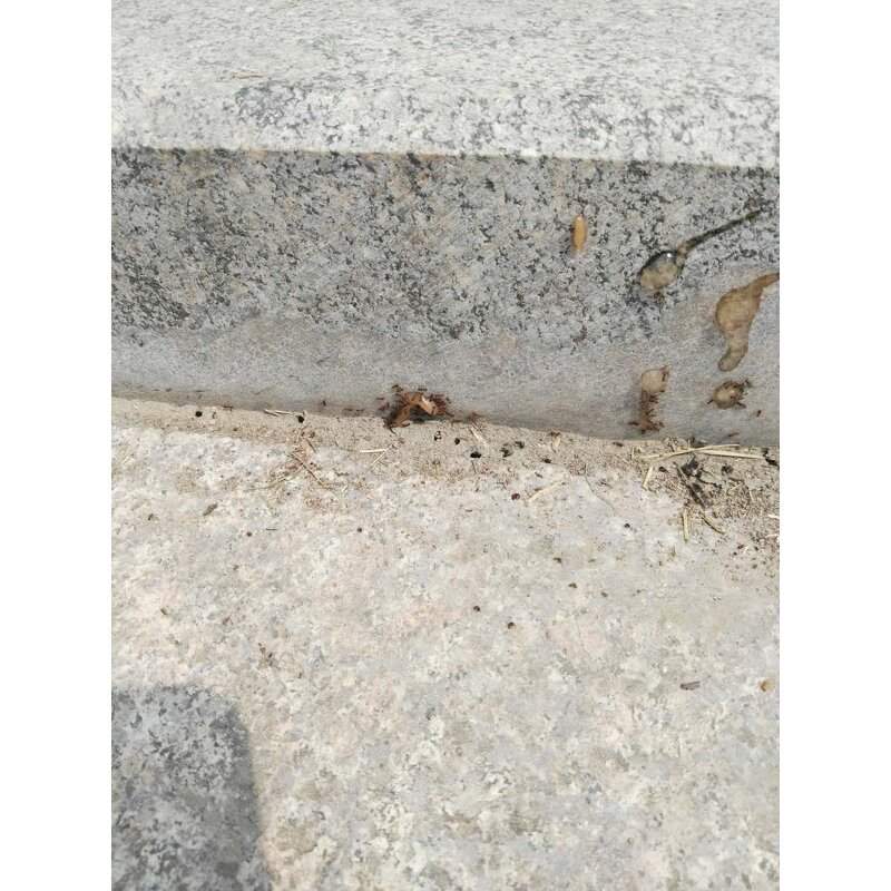 Indoxacarb Gel - 0.5% 0.6% Good Cockroach Killing Insecticide