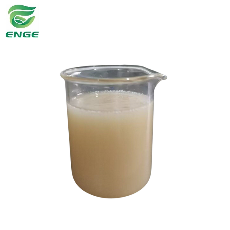 Atrazine Mesotrione Herbicide - 20%+5%OD Cornfield Weed Control