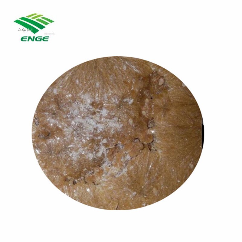 Meperfluthrin Insecticide - 95%TC High Efficient Mosquito Chemical