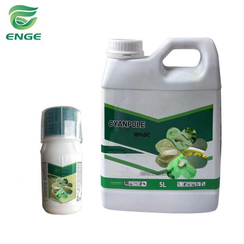 Iprodione Fungicide - 500g/LSC Protective Pesticide Crop Protection