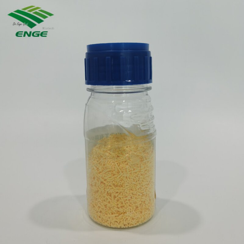 Ethiprole Pesticide - 80%WDG 200g/L SC Paddy Field Factory Best Price