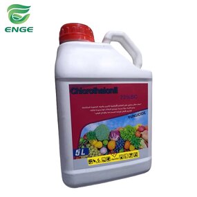 Chlorothalonil Fungicide - 72%SC 75%WP 720g/LSC Protective Factory Quality