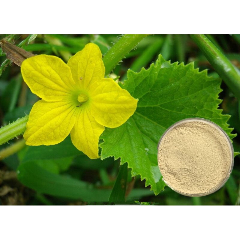 Amino Acid Chelate Powder Manufacturer