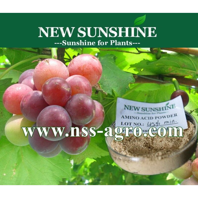 Chelated Magnesium Fertilizer Manufacturer - EDTA-Mg 6%