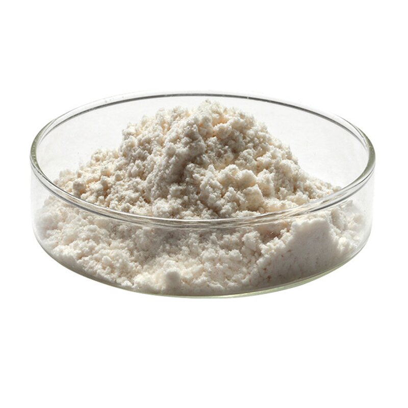 Chitosan Powder Manufacturer - Agricultural Grade Price