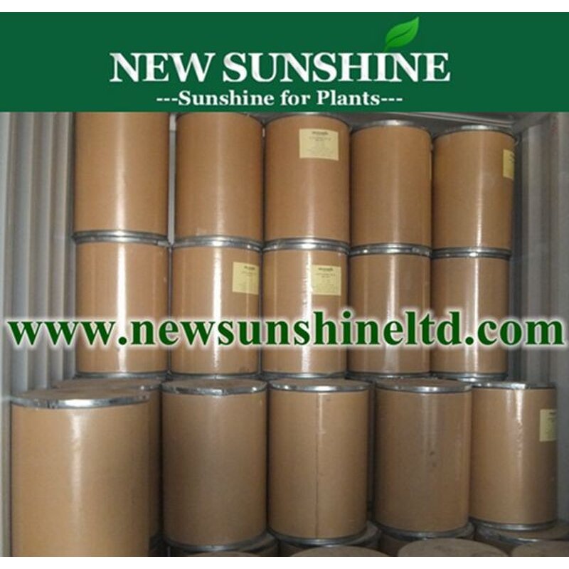 Imidacloprid Manufacturer - 98% 95% TC 35% 25% SC 20% SL 70% WDG Hot Sales