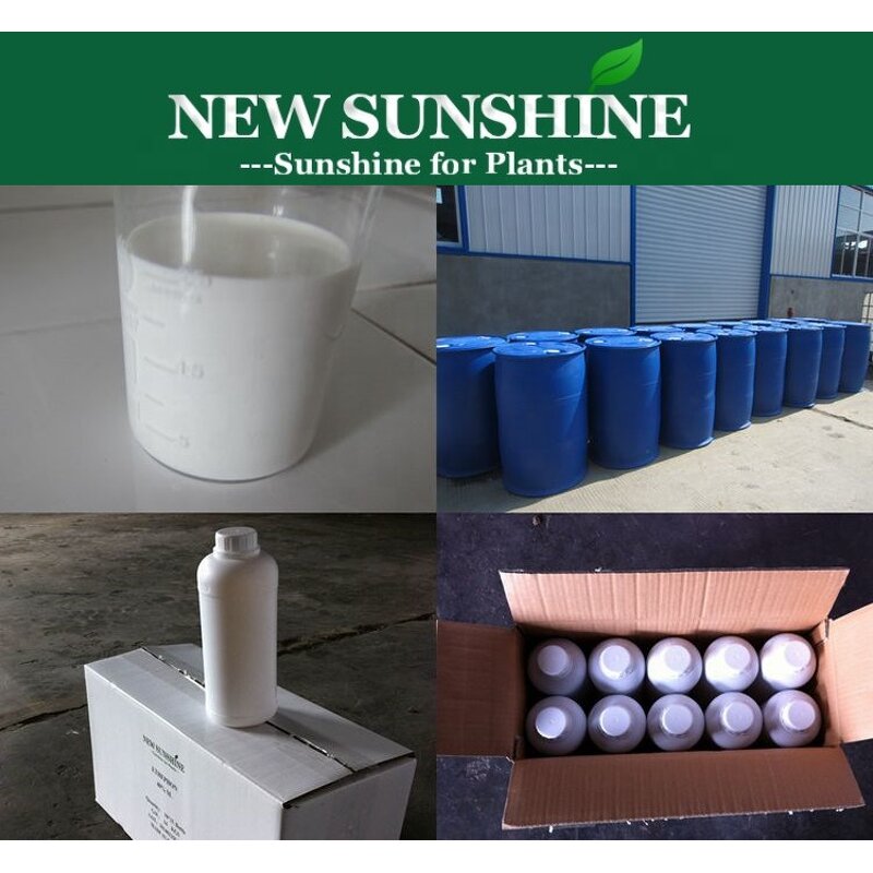 Paclobutrazol Manufacturer - 95% TC 15% WP 25% SC Price