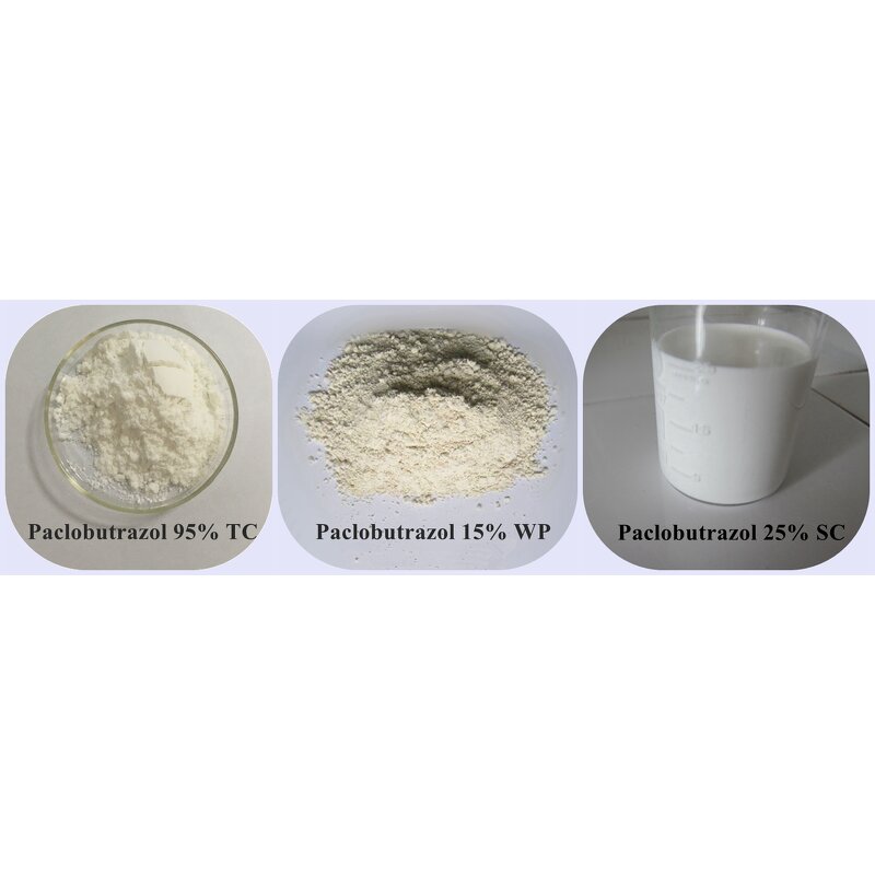 Paclobutrazol Manufacturer - 95% TC 15% WP 25% SC Price