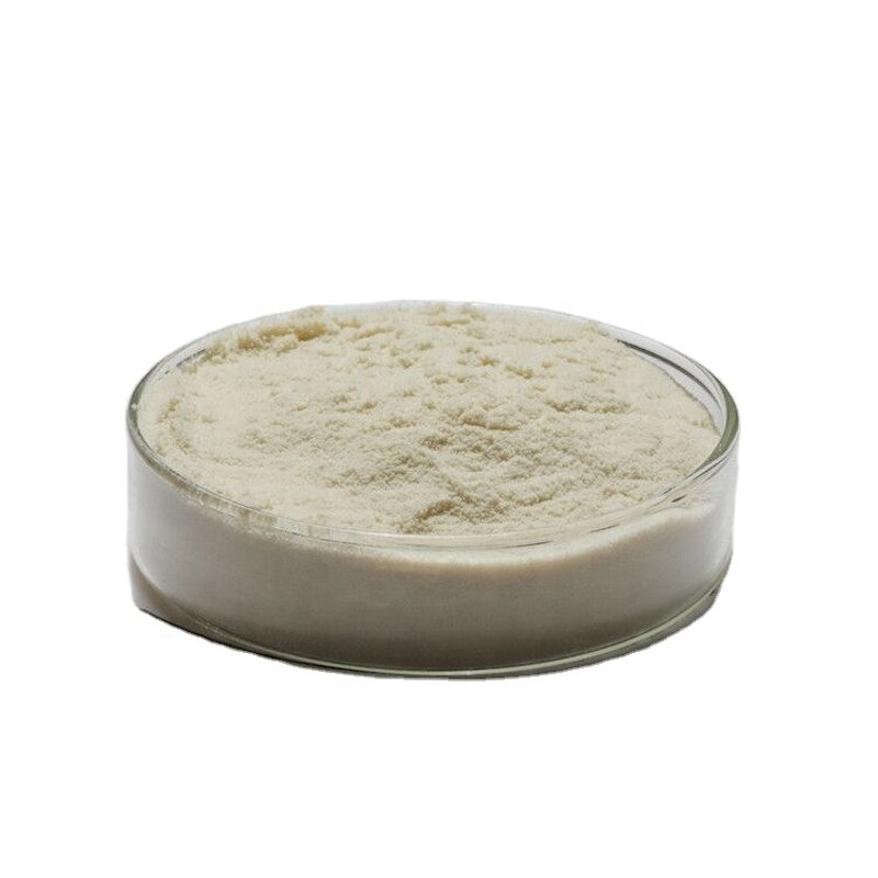 Amino Acid Powder Manufacturer - 45% 65% 80%