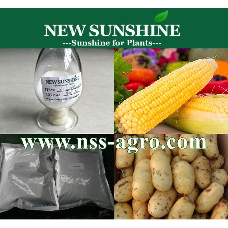 Gibberellic Acid Manufacturer - GA3 90% TC Plant Growth Regulator CAS 77-06-