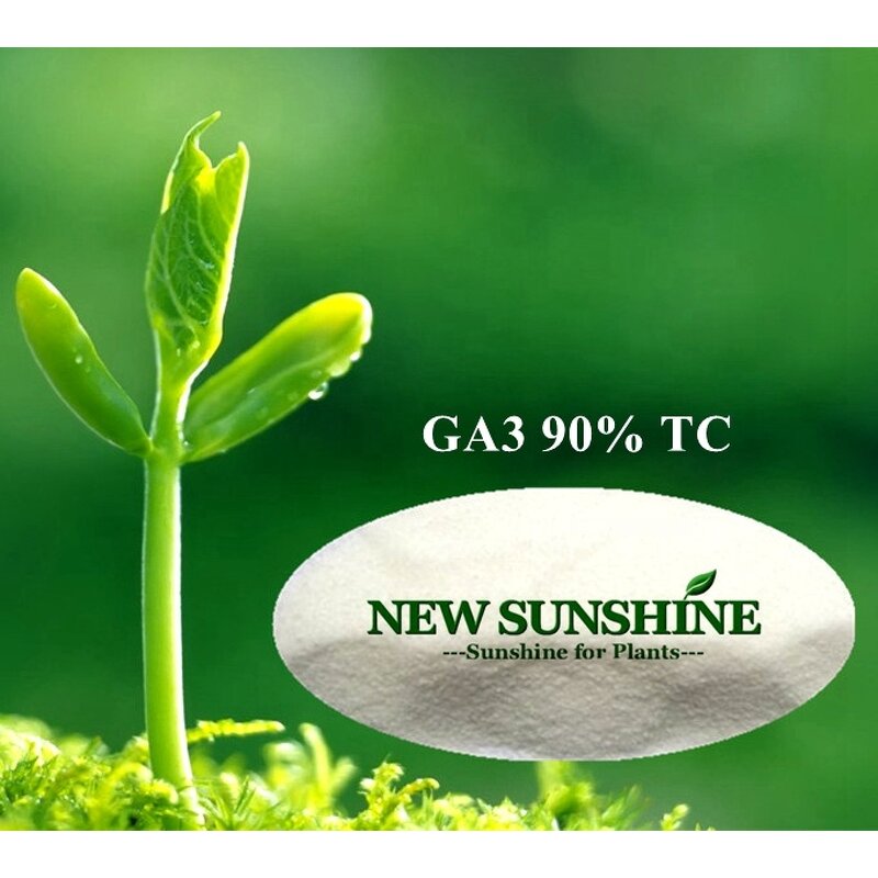 Gibberellic Acid Manufacturer - GA3 90% TC Plant Growth Regulator CAS 77-06-