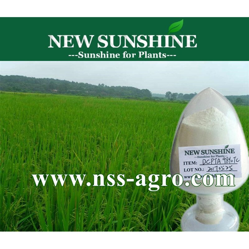 Plant Hormone Manufacturer - 98% TC DCPTA High Effect