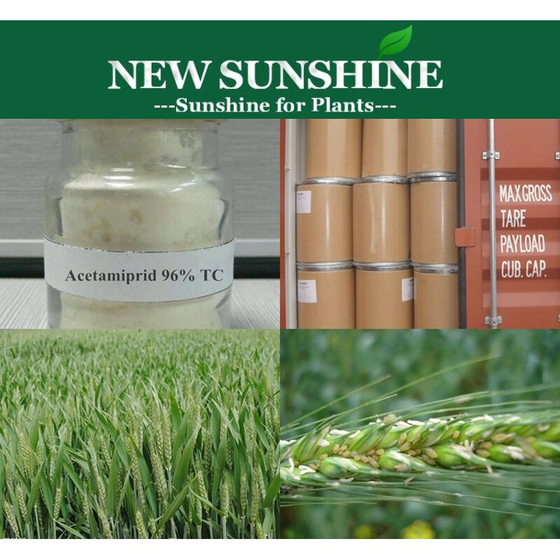 Acetamiprid Manufacturer - Pesticide Technical 97% 96% TC