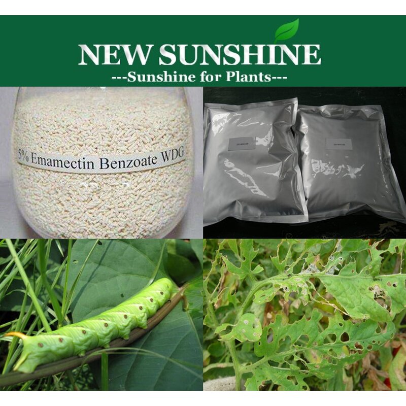 Emamectin Benzoate Manufacturer - 5% SG Best Price