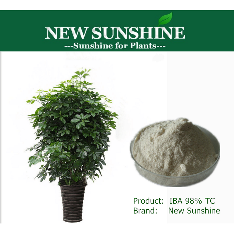 IBA Manufacturer - Indole 3 Butyric Acid 99% TC Price