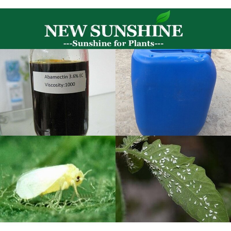 Abamectin Manufacturer - 1.8% EC Pesticide Agrochemical