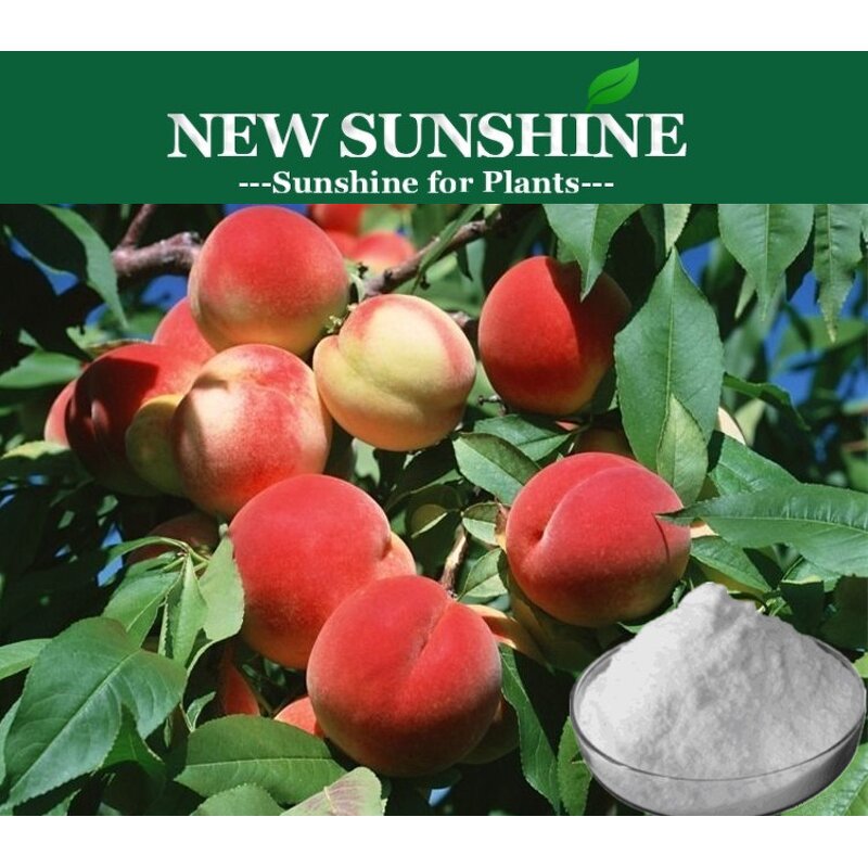 Plant Hormone Manufacturer - 6BAP 6BA Cytokinin