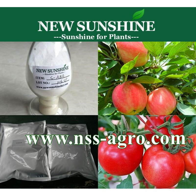 Abscisic Acid Manufacturer - S-ABA 10% SP Agrochemicals Product