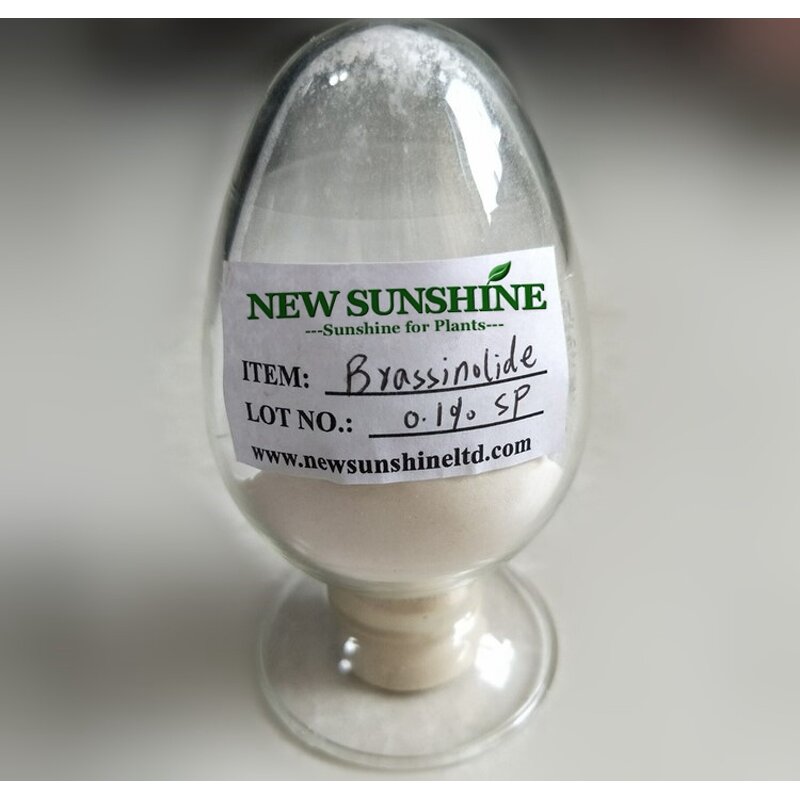 Brassinolide Manufacturer - Natural 90% TC & Mixed Epibrassinolide