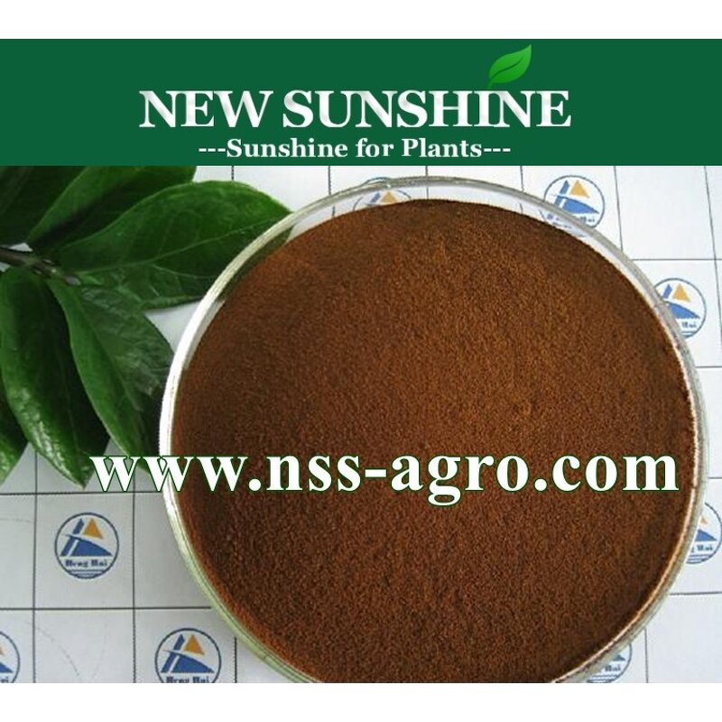 Fulvic Acid Manufacturer - Water Soluble 95% Powder Supplement Fertilizer