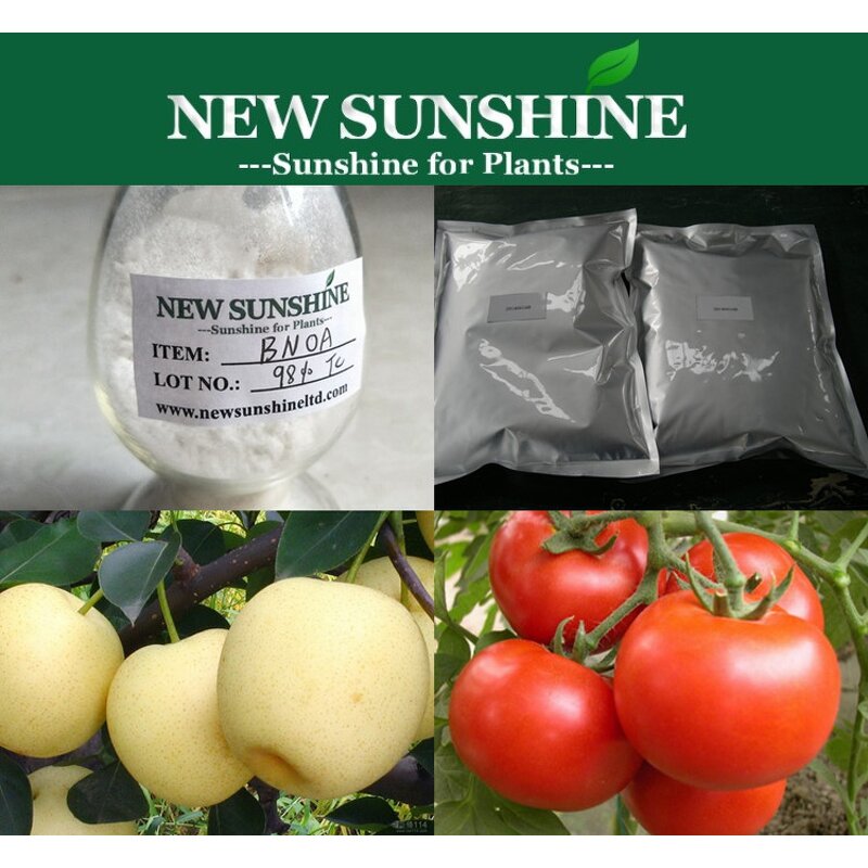 Plant Hormone Manufacturer - 98% TC 2-Naphthoxyacetic Acid BNOA