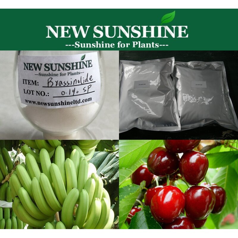 Brassinolide Manufacturer - Natural 90% TC & Mixed Epibrassinolide