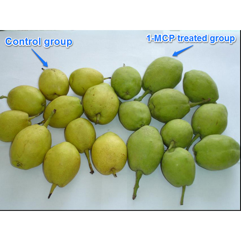 1-MCP Manufacturer - 3.5% WP for Fruit Keeping Ripening Fresh