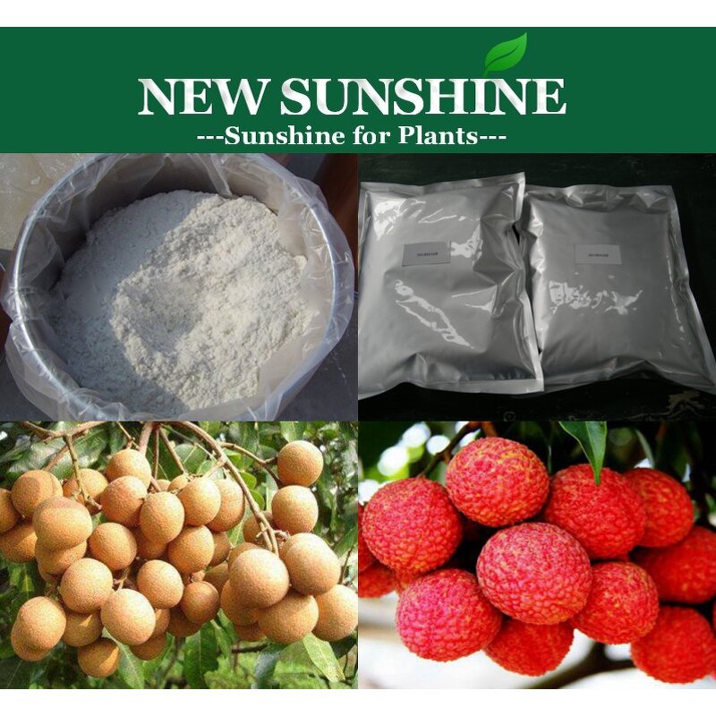 Paclobutrazol Manufacturer - Plant Hormone CAS 76738-62-0