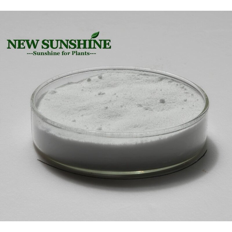 Triacontanol Powder Manufacturer - Natural PGR with High Purity