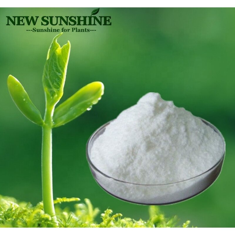Plant Hormone Manufacturer - 6BAP 6BA Cytokinin