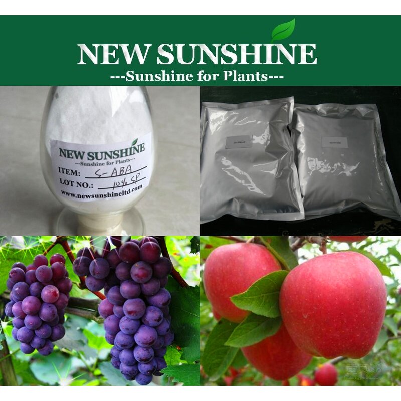 Abscisic Acid Manufacturer - S-ABA 10% SP Agrochemicals Product