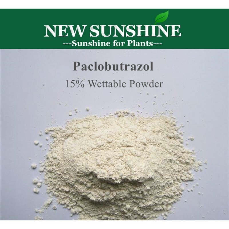 Paclobutrazol Manufacturer - Plant Hormone CAS 76738-62-0